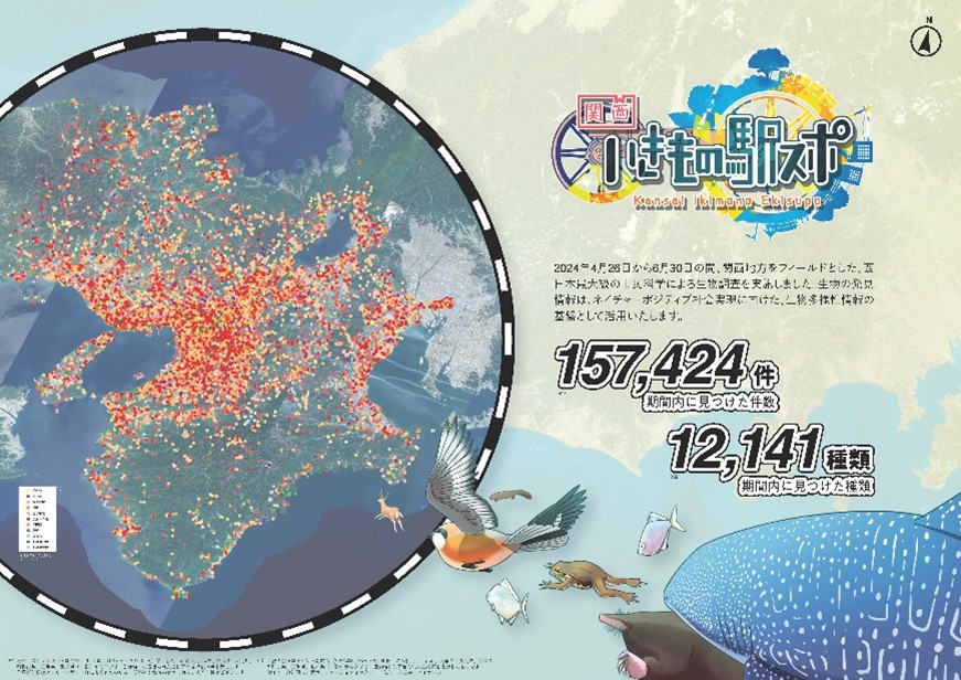 【結果報告】「関西いきもの駅スポ」を通じ15万件以上の生物発見データ収集を実現！